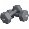 Soozier 2 x 10LBS Hex Dumbbells Set Weights Pair for Home Gym Workout