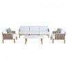 Vine Modern 4-Piece Conversation Set in White