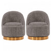 Leela Modern Chenille Swivel Lounge Chair in Gray - Set of 2 Accent Chair