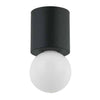 Dainolite Theron 1 Light Flush Mount Globe Matte Black Finish Lamp