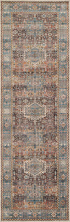 Dulce Traditional 2'6\" x Runner Rug in Multi Indoor Area Rug
