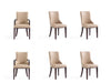 Shubert Modern 6-Piece Dining Chair Set in Tan