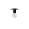 Dainolite Roswell 1 Light Flush Mount Medium Matte Black Lamp