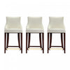 Shubert Modern Wood Upholstered Counter Stool in Ivory - Set of 3
