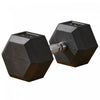 Soozier 40lbs Rubber Hex Dumbbell, Weight Dumbbell for Body Fitness