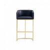 Louvre Mid-Century Modern Metal Upholstered Barstool in Black Bar Stool
