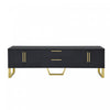 Steven 66.9\" Floor-standing Design TV Cabinet with and Gold Handles&Legs,Black Tv Stand
