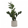 ZZ Tree 20\" Artificial Plant