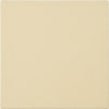 Frigidaire Pizza Stone - 5304539429