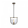 Cheshire Black & Brass 1-Light Pendant