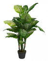 Artificial 47\" Dieffenbachia In Black Pot