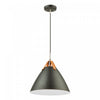 Tote 1-Light Black Pendant I
