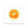 \"Citrus Cultivar\" Matted and Framed White 36x36 Wall Art