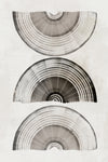 \"Sophisticatted Lines I\" Giant Art 84x54 Wall Art