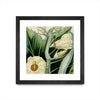 \"Cropped Turpin Tropicals Iii\" Matted and Framed Black 36x36 Wall Art