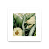 \"Cropped Turpin Tropicals Iii\" Matted and Framed White 36x36 Wall Art