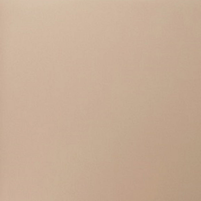 Shubert Modern 6-Piece Dining Chair Set in Tan