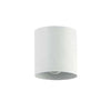 Dainolite Theron 1 Light Flush Mount Matte White Finish Lamp