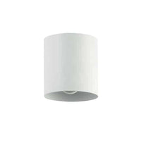 Dainolite Theron 1 Light Flush Mount Matte White Finish Lamp