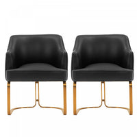 Raya Modern Wood Vegan Leather Dining Chair in Black - Set of 2 