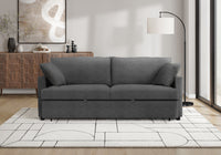Sleeper Sofa, 78