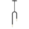 Dainolite Wand 2 Light Pendant Matte Black Lamp
