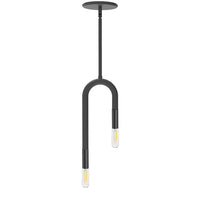 Dainolite Wand 2 Light Pendant Matte Black Lamp