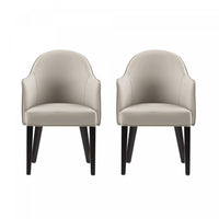 Hillman Modern Vegan Leather and Velvet Wood Armchair in Light Gray - Set of 2 