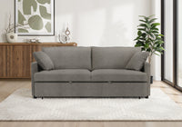 Sleeper Sofa, 78