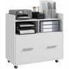 Vinsetto File Cabinet With Wheels Drawer For Letter A4 Legal Size