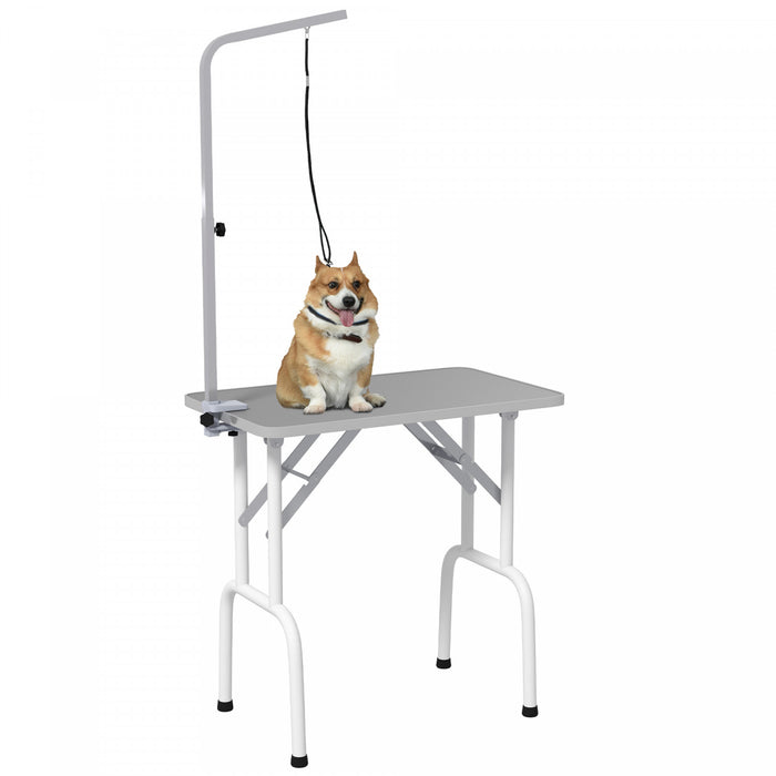 Pawhut 32in Foldable Dog Grooming Table For Small Dogs, Pet Grooming Table For Dogs Cats With Adjustable Arm, Non-slip Surface, Grey