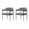 Lia Modern Metal Chenille Armchair in Gray - Set of 2 Dining Chair