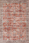 Ruby Traditional 6'6\" x 9'0\" Area Rug in Brown Indoor Area Rug