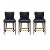 Blair Modern Wood Upholstered Counter Stool in Black - Set of 3 Bar Stool
