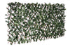 Willow Expandable Ivy Trellis - 40\" x 80\"