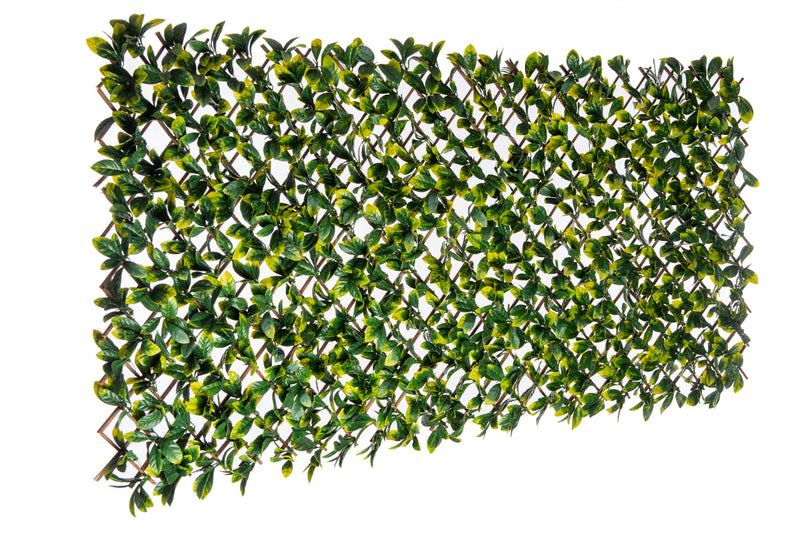 Willow Expandable Laurel Trellis - 40\" x 80\" 