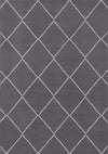 Florence Trellis Design Indoor Area Rug - 4'7