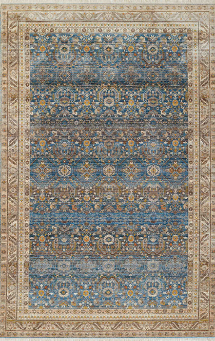 Gianna Traditional 8'0\" x 10'0\" Area Rug in Blue Indoor Area Rug