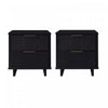 Granville Modern 18\" Nightstand in Black (2-Drawer) - Set of 2