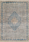 Lucia Traditional 9'0\" x 12'0\" Area Rug in Blue Indoor Area Rug