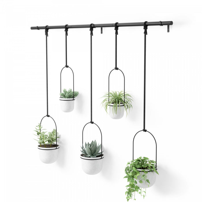 Umbra White Triflora Hanging Planter - Set of 6