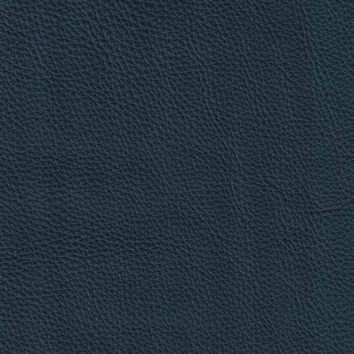 Hydeline Cassis Leather Loveseat - Navy