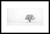 Framed Winter Tree Photography - 30