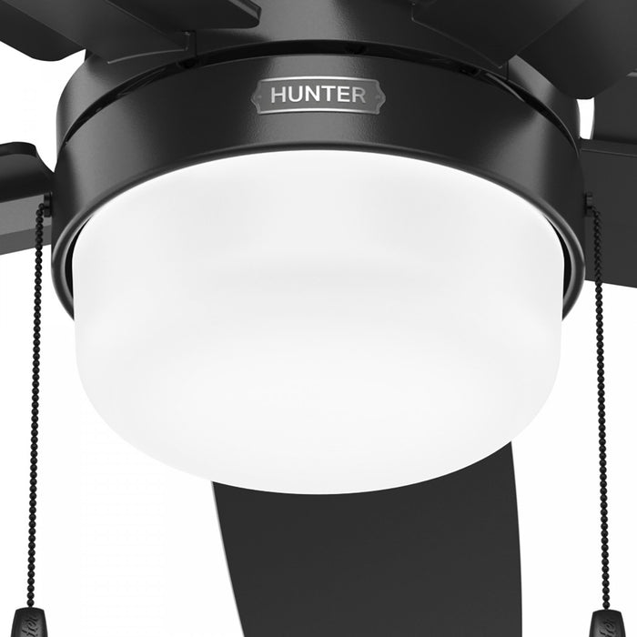 Anisten Ceiling Fan with Light Fixture - Black