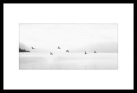 Framed Birds Over Lake Photography - 30