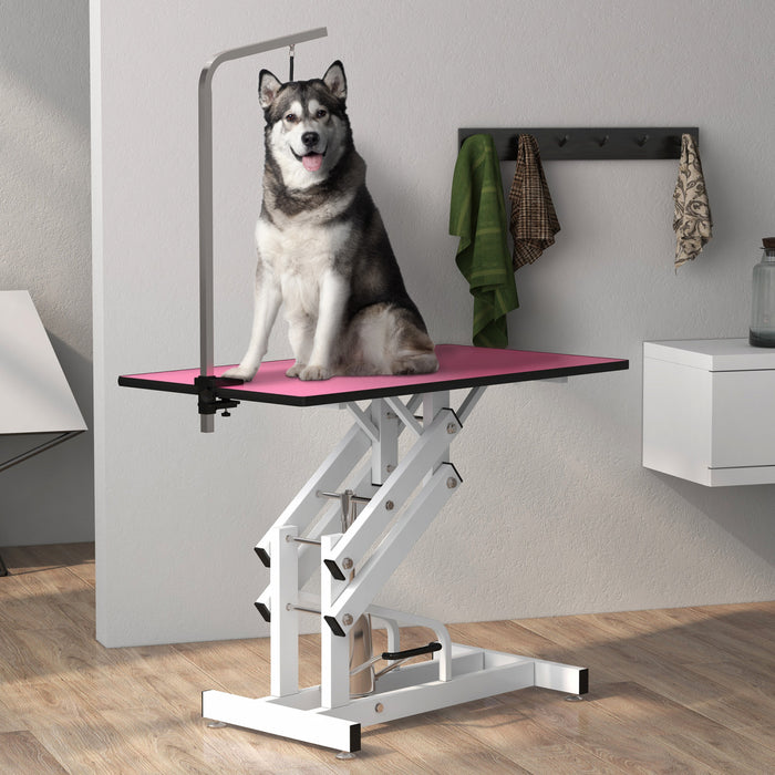 Pawhut Dog Grooming Table, Deluxe Professional Pet Grooming Table For Larger Dogs Z-lift Hydraulic With Arm Noose - Pink