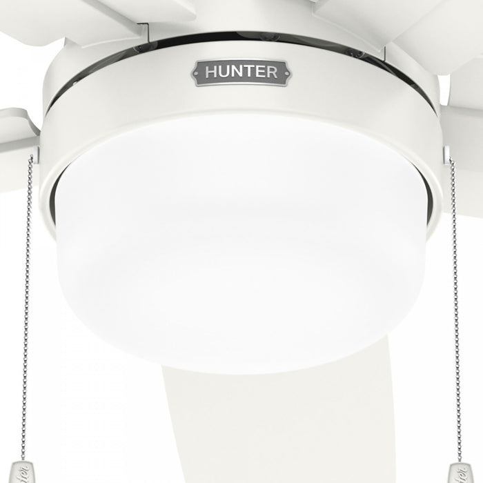 Anisten Ceiling Fan with Light Fixture - White