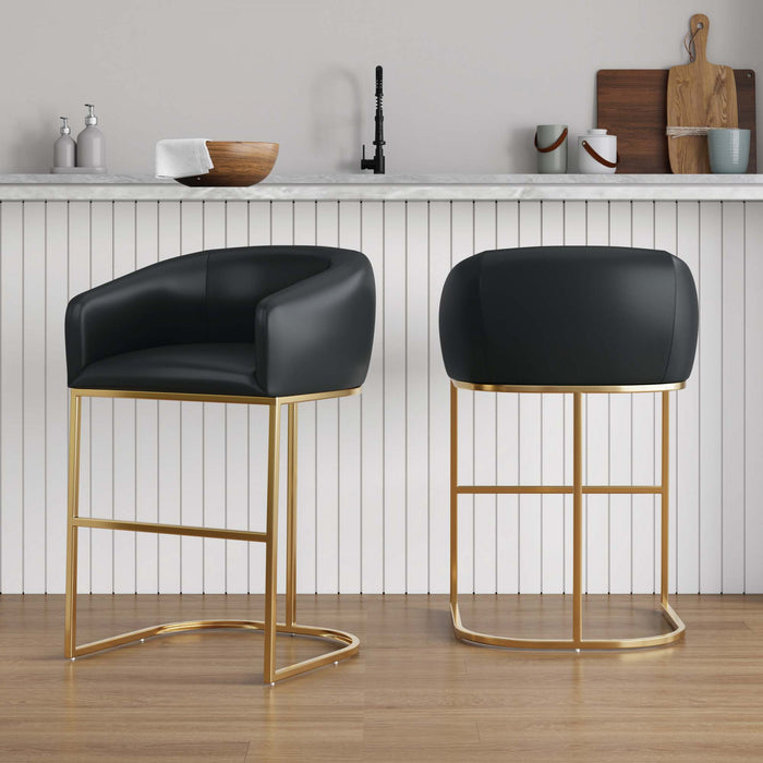 Louvre Mid-Century Modern Metal Upholstered Counter Stool in Black - Set of 2 Bar Stool