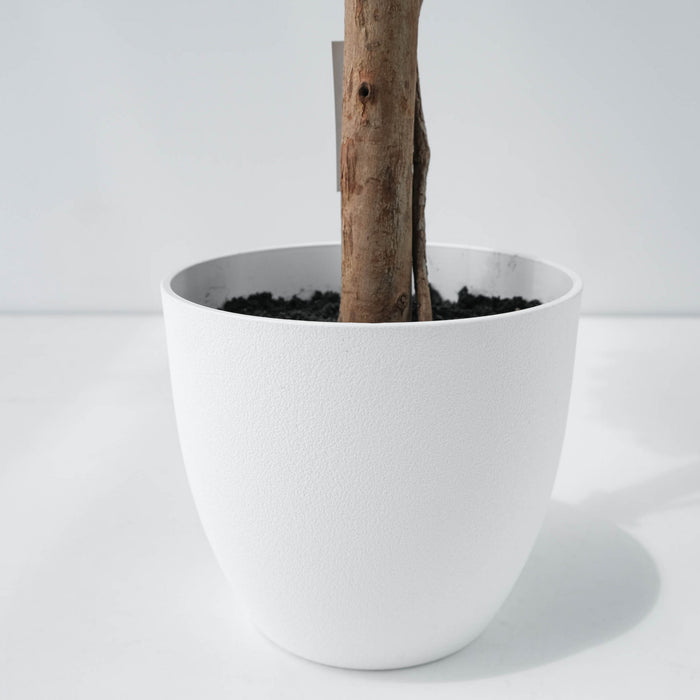 White 59\" Poinsettia Tree