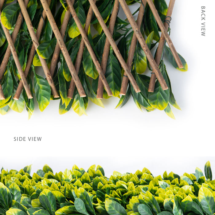 Willow Expandable Laurel Trellis - 40\" x 80\" 